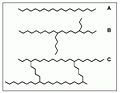 Basic structures of polymers.jpg